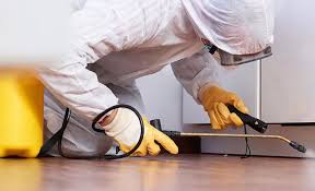 Best Residential Pest Control  in Meadow Vista, CA